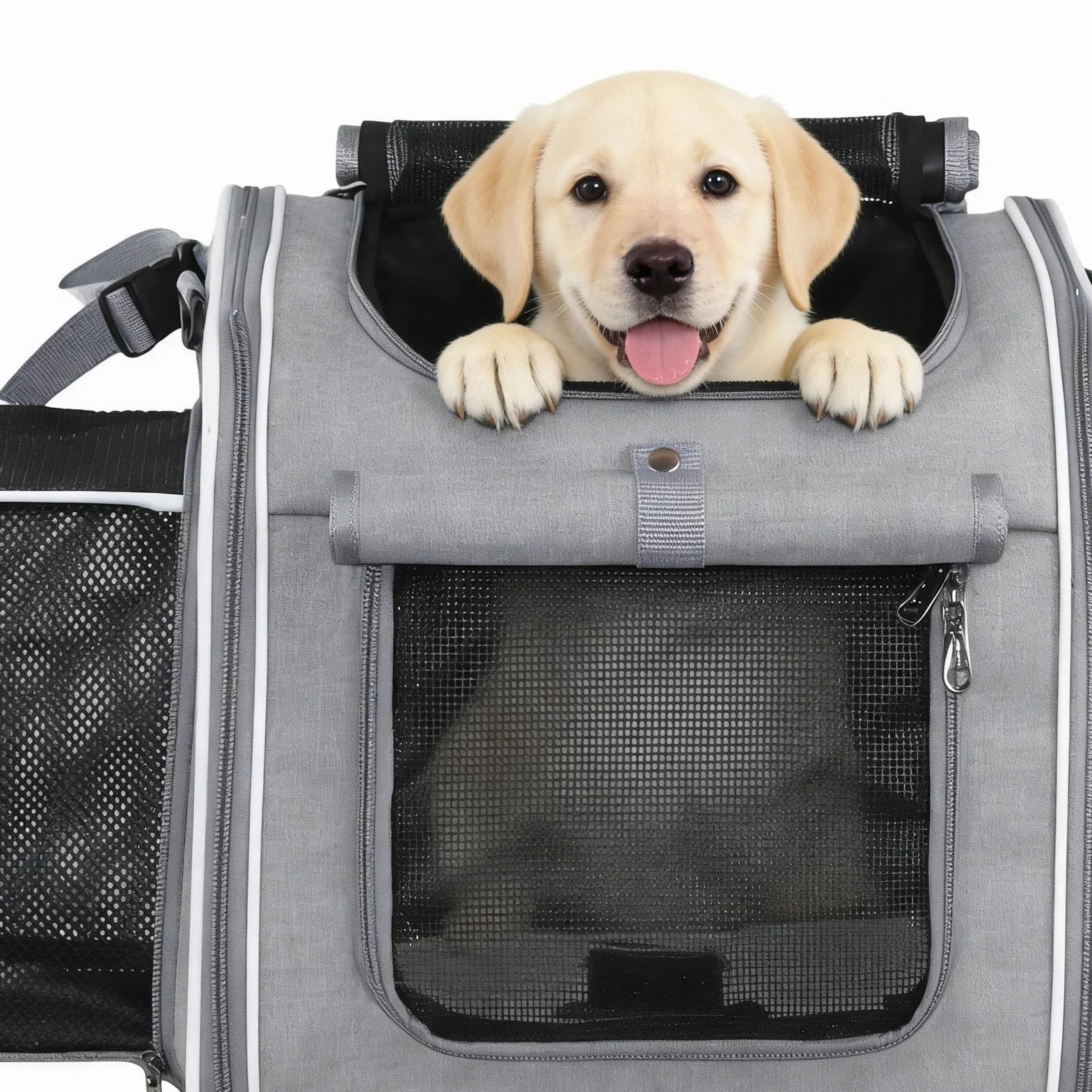 Luocute Panier de Vélo pour Chien, Sac à Dos de Transport Extensible à Côtés Souples avec Support de Guidon Dégagement Rapide et 4 Fenêtres en, pour Chiots de Petite et Moyenne (Grey)