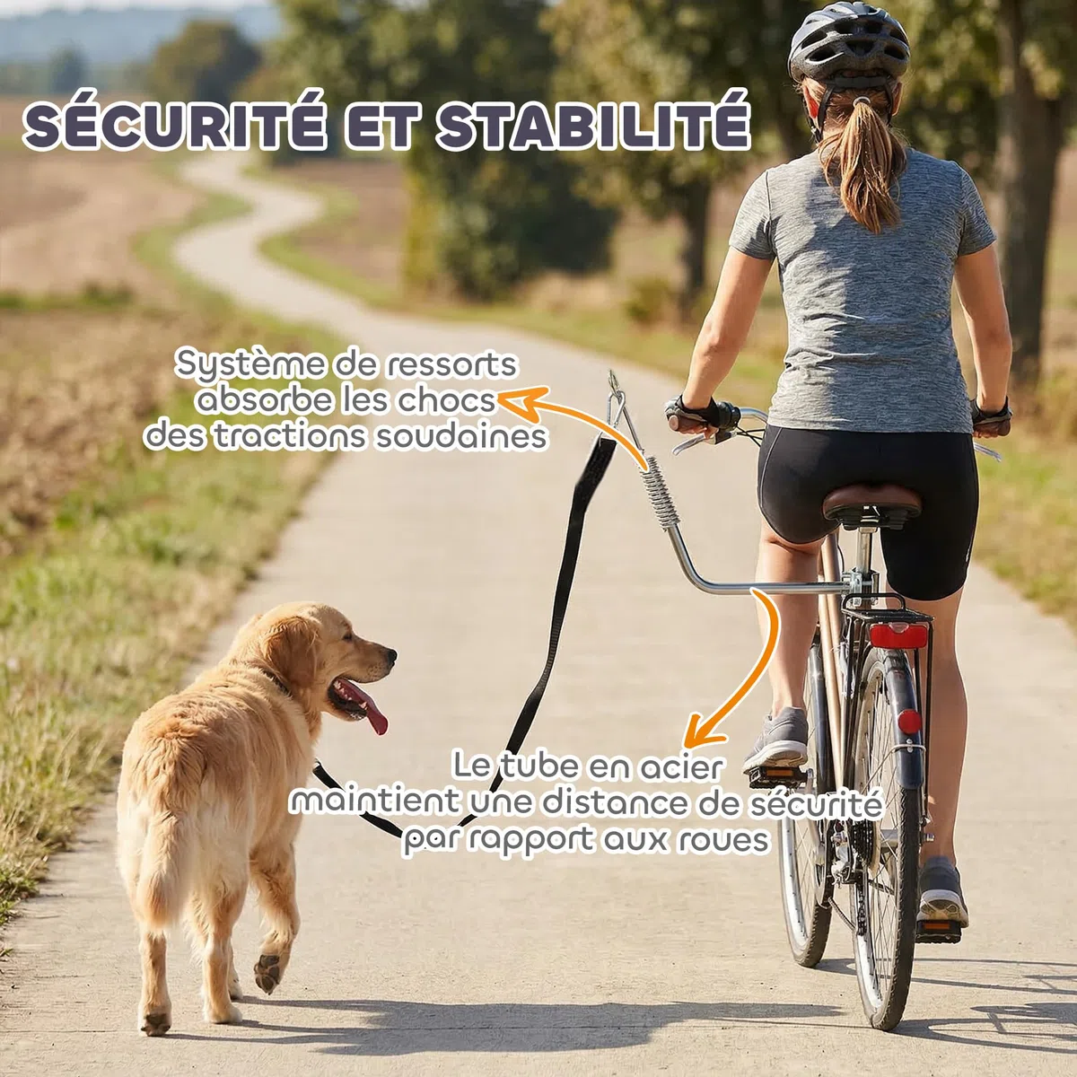 PawHut Laisse de Vélo pour Chien 180 cm en INOX, Fixation Rapide, Ressort Amortisseur, Sangle Ajustable, Vélo pour Chien Mains Libres, Laisse d'exercice pour Entraînement Jogging Cyclisme, Argent