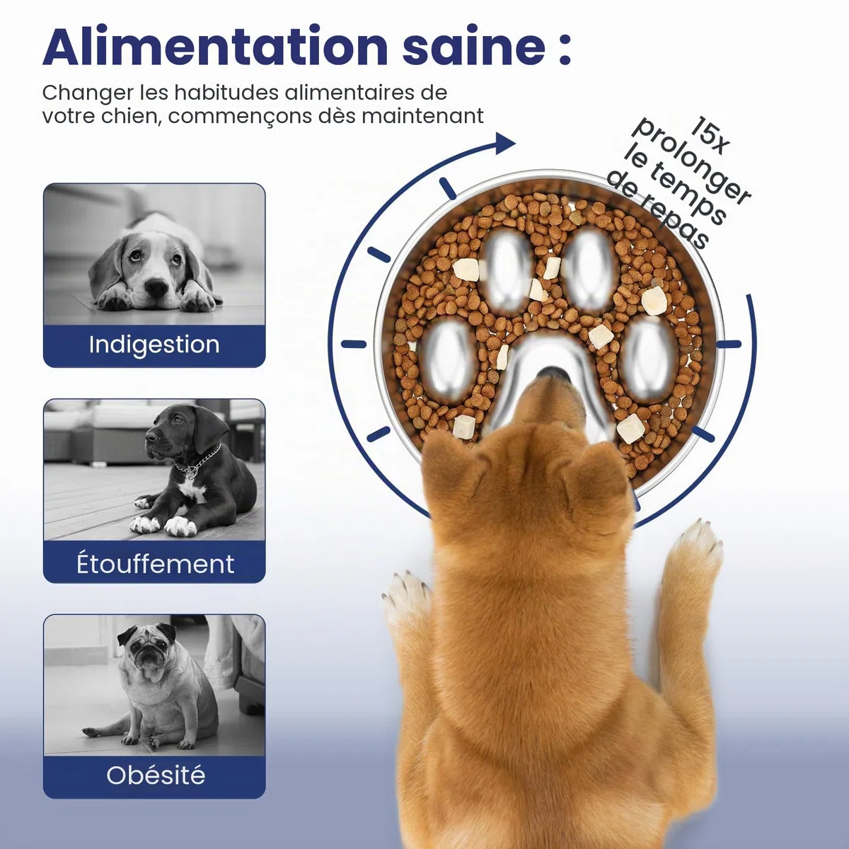 PETTOM Gamelle Anti Glouton Chien INOX, Rond, Diamètre 21cm | Acier Inoxydable, 2 Tasses, Double Face, Compatible Croquettes et Pâtée, Passe au Lave-Vaisselle