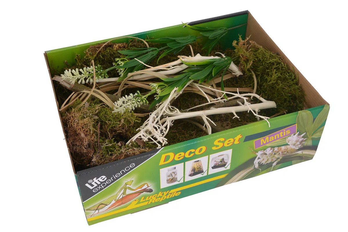 Life Experience Kit déco pour Petits terrariums Nano