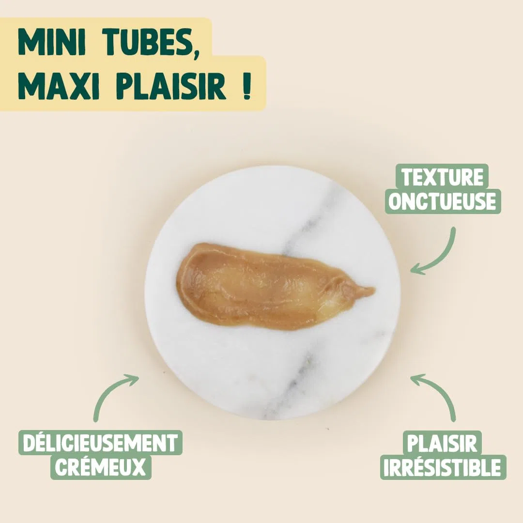 FRANKLIN – Tube Crémeux Chat – Creamy Snack Thon et Saumon – Texture Crémeuse et Onctueuse – Ingrédients 100% Naturelles – Faible en Calories – Poils Doux et Brillant – 30 Tubes x 15g