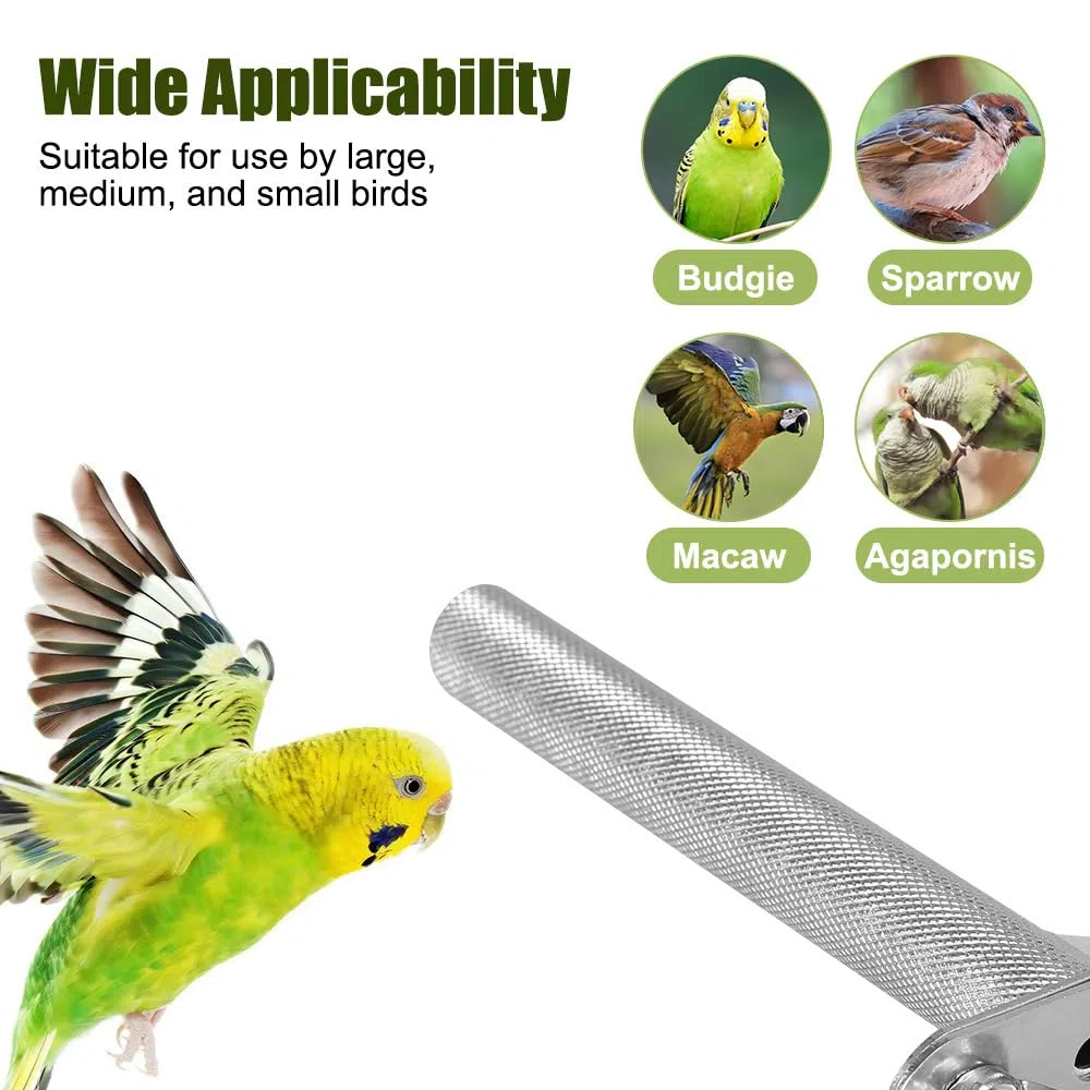 Perchoir en Acier Inoxydable pour Oiseaux,Griffes de Broyage pour Perroquets,Coupe-Bec,Ongles,Bâton de Meulage pour Oiseaux,Perroquets,Perruches,Calopsittes,Conures,Aras Gris D'Afrique,Pinsons
