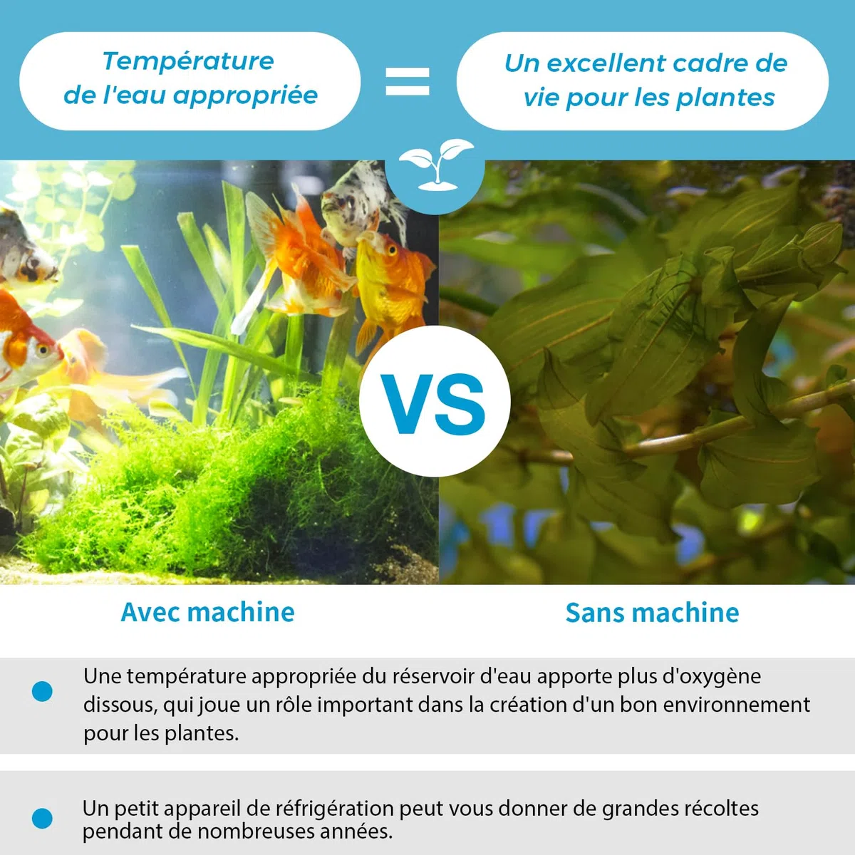 160L Refroidisseur d'eau pour Aquarium 74W, système de Refroidissement pour Aquarium de Poissons, système de Refroidissement pour crevettes d'aquaculture, Tuyau et Anneau de Fixation Inclus.