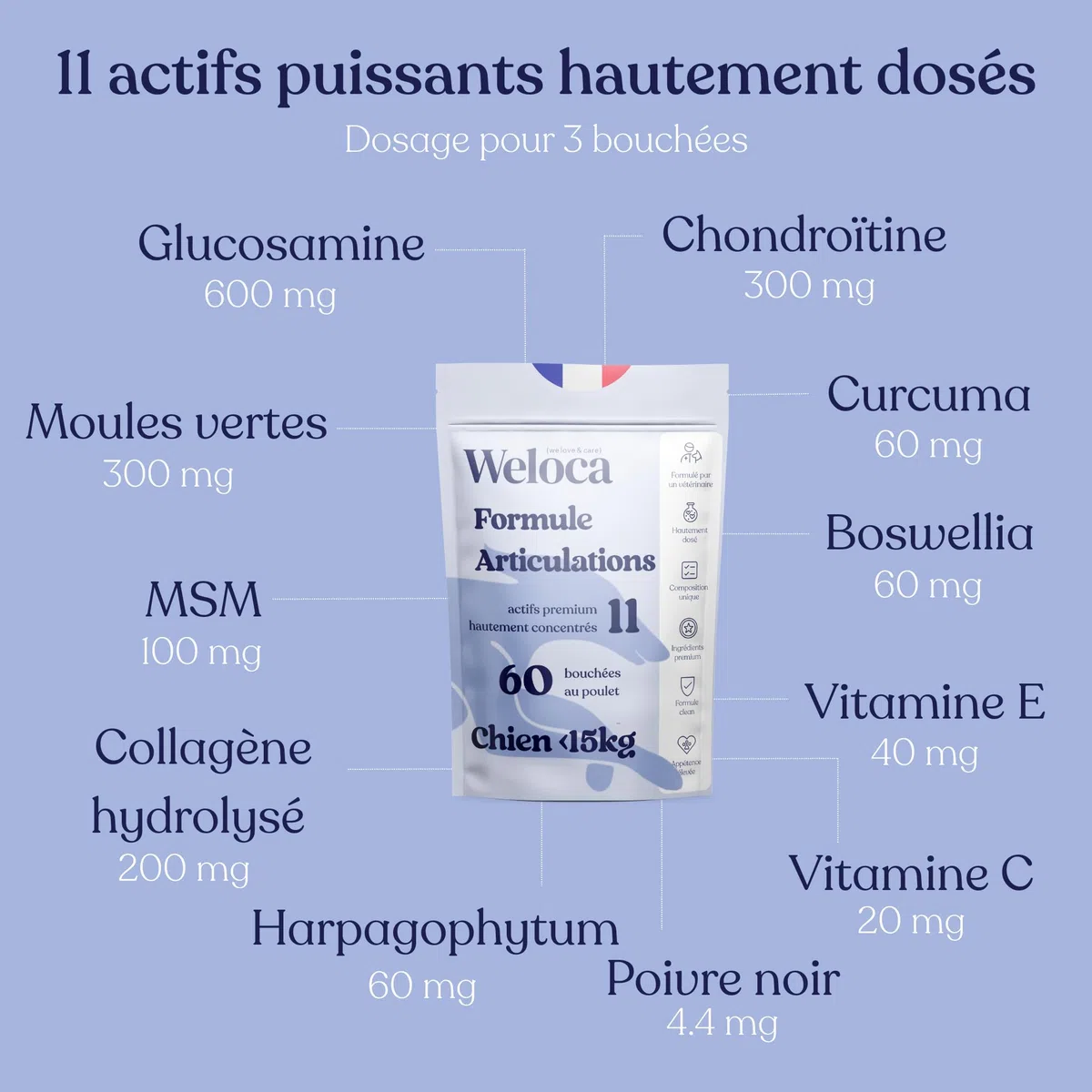 Arthrose Chien - 60 bouchées - 11 Actifs puissants (Glucosamine Chondroïtine, MSM, Moule Verte, harpagophytum) - Anti inflammatoire - Complement Alimentaire Chien - Nouveau Format