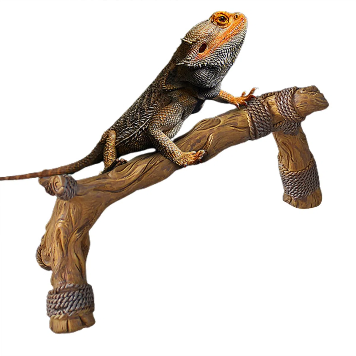 Branches Grimpantes Pour Reptiles | Branches De Bois Pour Reptiles | Habitat D'escalade Pour Animaux De Compagnie | Décoration D'habitat Pour Reptiles | Branche D'arbre Grimpante Pour Caméléons, Lézar