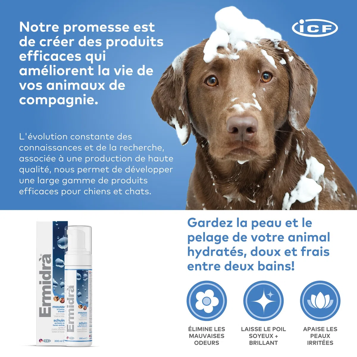 ICF Ermidrà Foam pour Chien et Chat | Soin Réhydratant sans Rinçage | 200 ML | Foam Apaisante Hydratante