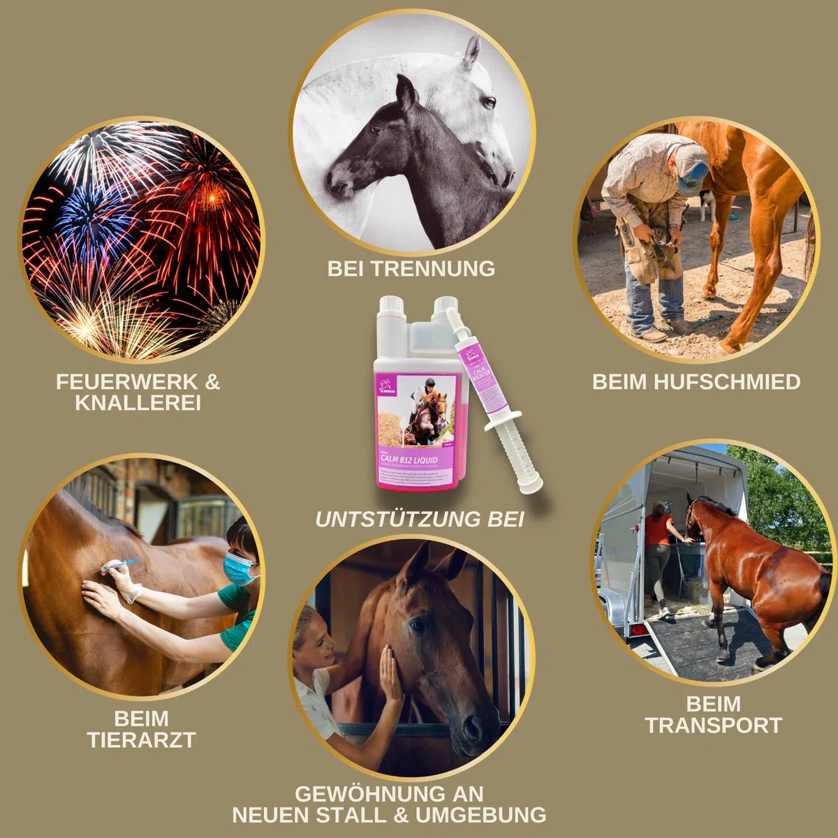 Magnésium cheval 1L + 2*30ml CALM Relax Liquid + Booster avec magnésium, L tryptophane & vitamine B12 contre anxiété & stress vitamine B 12 anti stress Apaisement cheval en transport chevaux nerveux