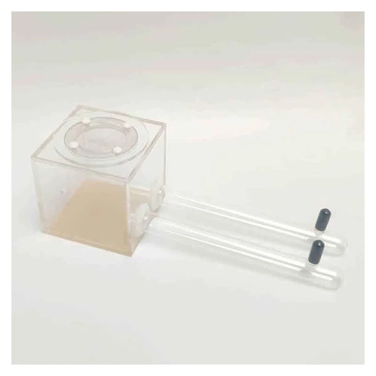 Nid Fourmis Acrylique Ant Habitat Ants Farm Transparent Boîte Fourmilière Fourmi Nid Educational Insecte Villa 7 X 7 X 7cm Animaux Mania Maison Anniversaire Cadeau