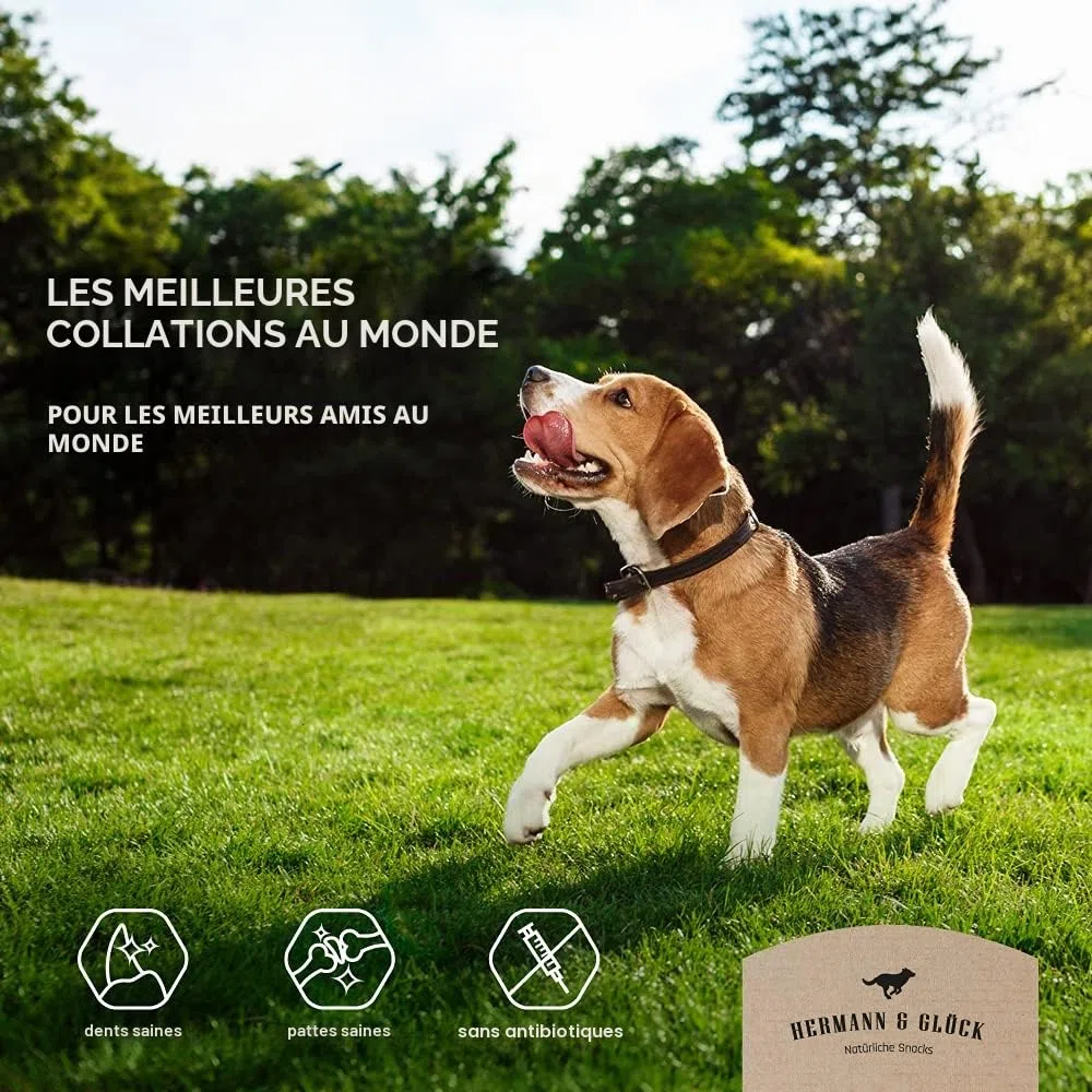 Hermann & Glück Pattes de Poule Premium Naturel 1/2kg | Dentiment de Poules pour Chien | Viande Séchée Sans Céréales | Snacks et Collations 0% de Céréales