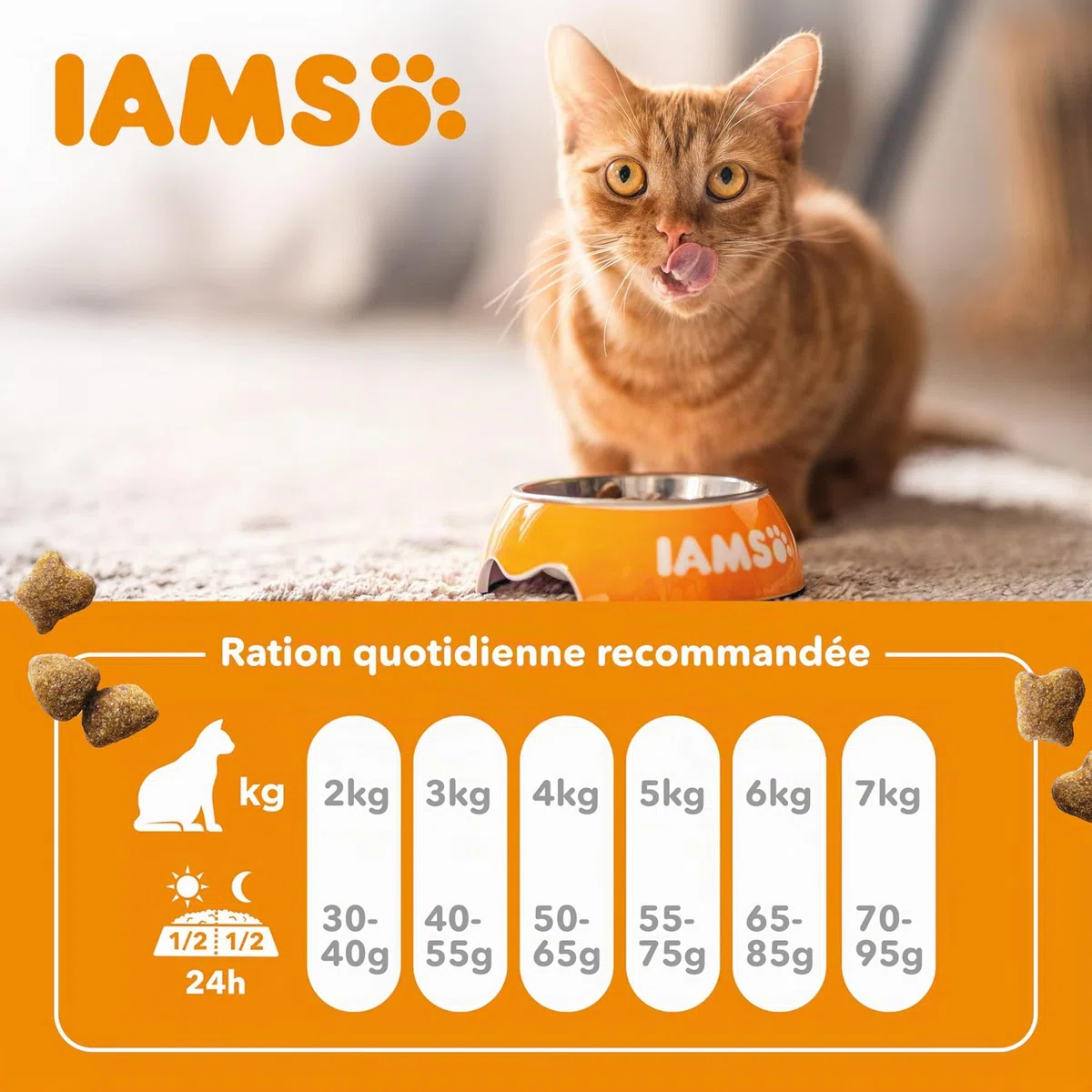 IAMS Croquette au Poulet pour Chat Senior 10 kg