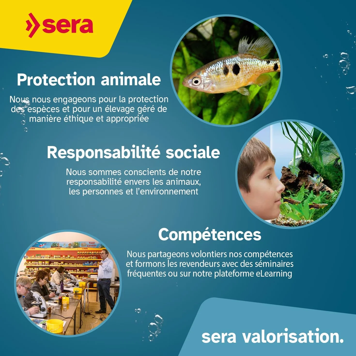 sera Phosphate Test 15ml |Mesure du Phosphate pour Prévenir la Prolifération d’Algues et Maintenir l’Équilibre de l’Eau | Kit avec Éprouvette, Seringue et Cuillère Doseuse | pour Aquariums et Bassins