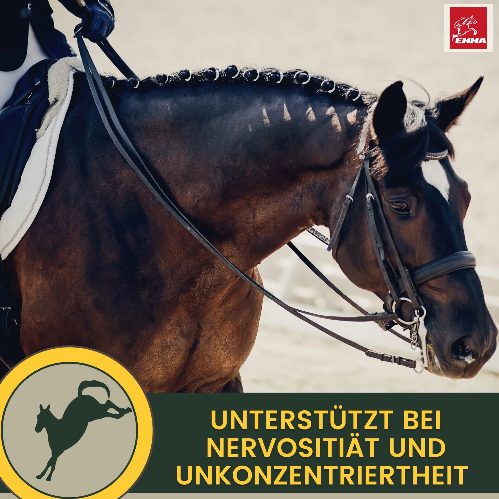 Magnésium cheval 1L + 2*30ml CALM Relax Liquid + Booster avec magnésium, L tryptophane & vitamine B12 contre anxiété & stress vitamine B 12 anti stress Apaisement cheval en transport chevaux nerveux