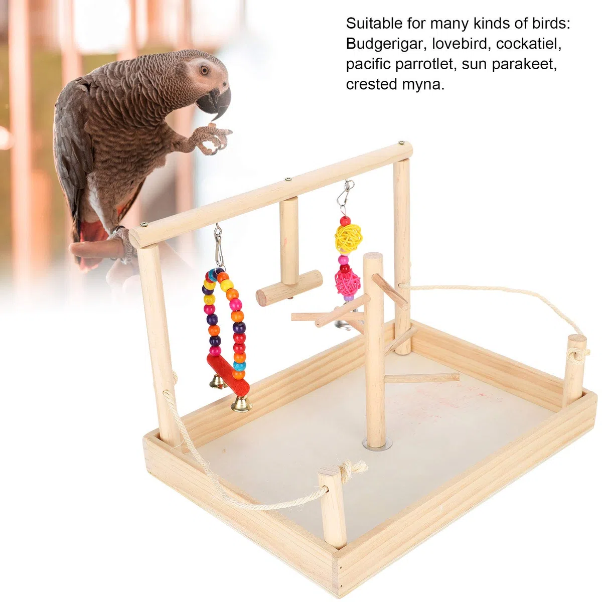 Aire de Jeux pour perroquets – Support en Bois Massif pour Oiseaux – avec Un Design de Cloche de Base – Couleurs Vives – Support de perchoir pour Cage à Oiseaux, Fournitures