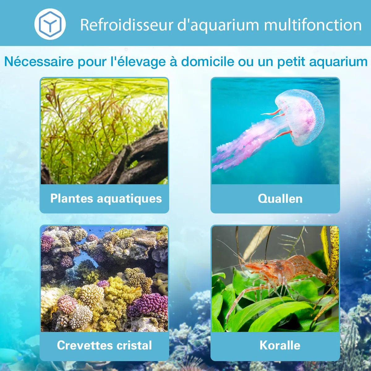 160L Refroidisseur d'eau pour Aquarium 74W, système de Refroidissement pour Aquarium de Poissons, système de Refroidissement pour crevettes d'aquaculture, Tuyau et Anneau de Fixation Inclus.