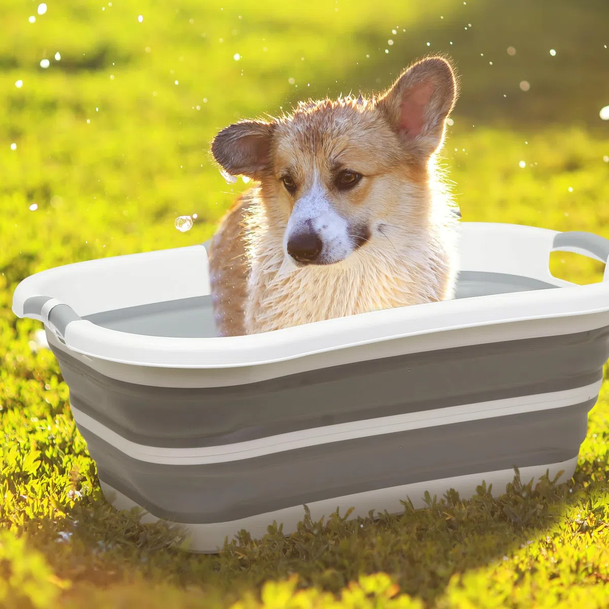 beberoad Baignoire surélevée pour chien de compagnie, station de lavage pour toilettage, baignoire de douche pliable, portable pour petits chiens, chats, animaux domestiques, intérieur et extérieur