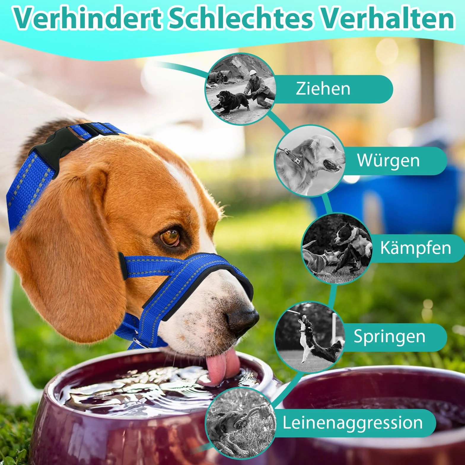 Halti pour chien grand, Harnais pour chien avec tissu rembourré, Harnais de tête Halti réglable anti-traction, Collier anti-traction doux pour chien grand (Bleu, L (Museau : 11,6-14,8 pouces))