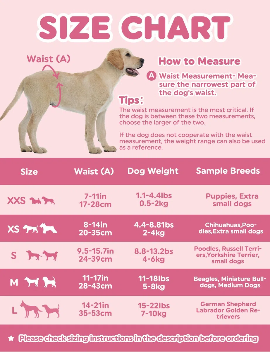 Dono Lot de 48 couches pour chien femelle, super absorbantes, indicateur d'humidité, XS (20,3 à 35,6 cm), os rose, chiennes femelles