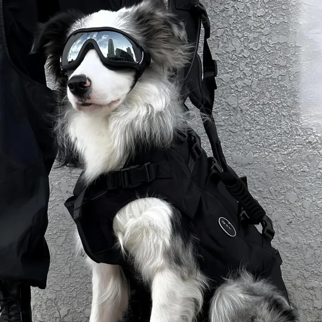 Lunette pour Chien, Lunettes de Soleil pour Chiens, Lunette de Protection des Yeux pour Chien, Lunettes Anti-UV pour Chiens, Imperméables, Coupe-Vent