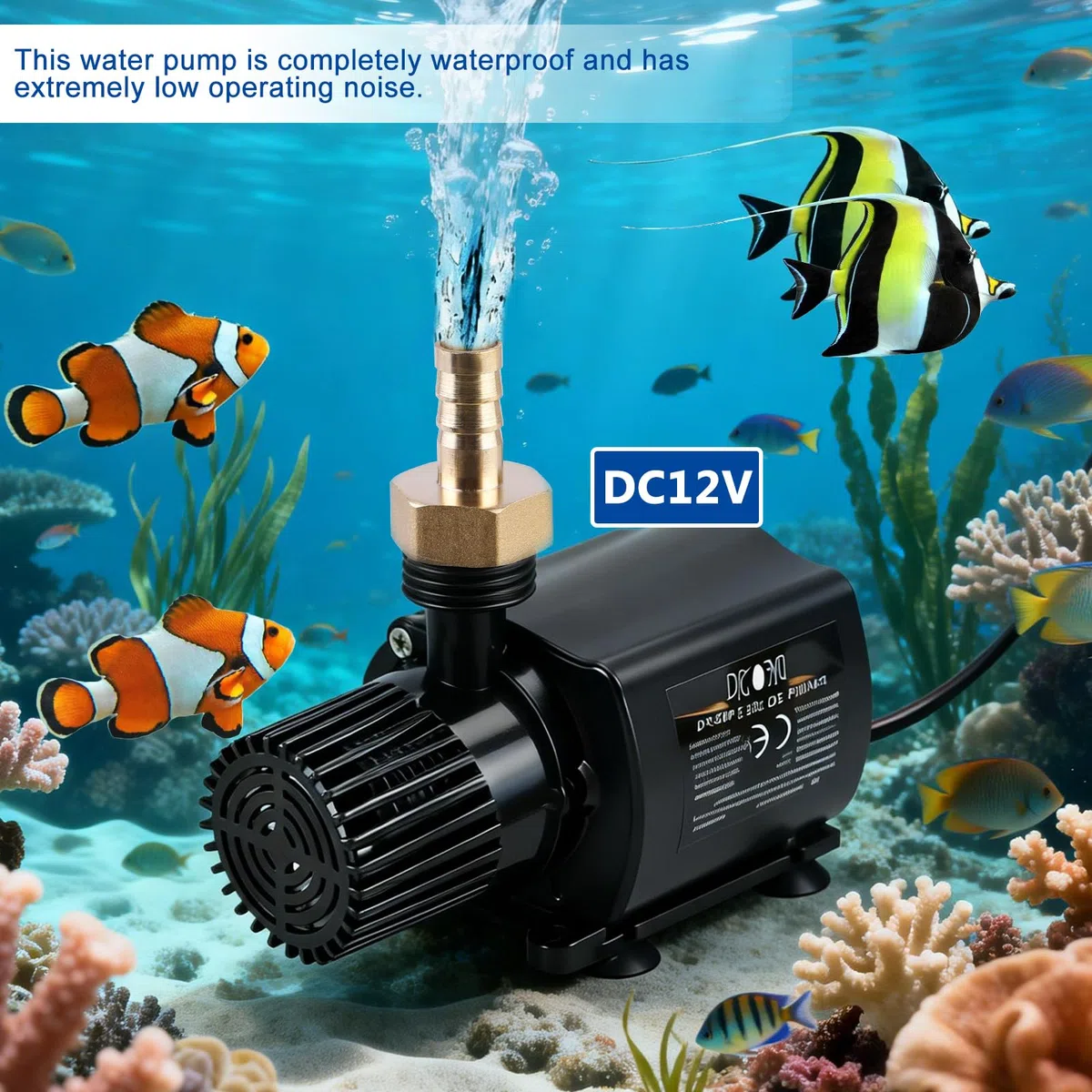Pompe à Eau 12V 800L/H 5 m, Pompe à Eau Submersible, Pompe Submersible Petite, Pompe de Bassin avec Réglage de la Vitesse de Rotation pour fontaine et système de