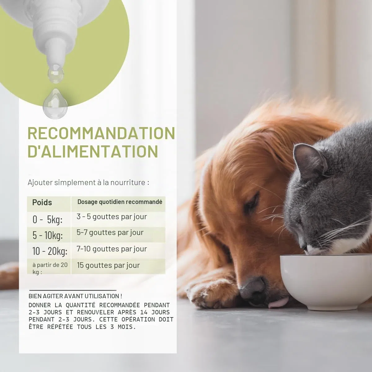 ReaVET Wormwood Mix Gouttes liquides liquides, Alternative Vermifuge, Avant, Pendant et après l'infestation de vers Chien, Chat et Lapin, Tous Les Animaux de Compagnie