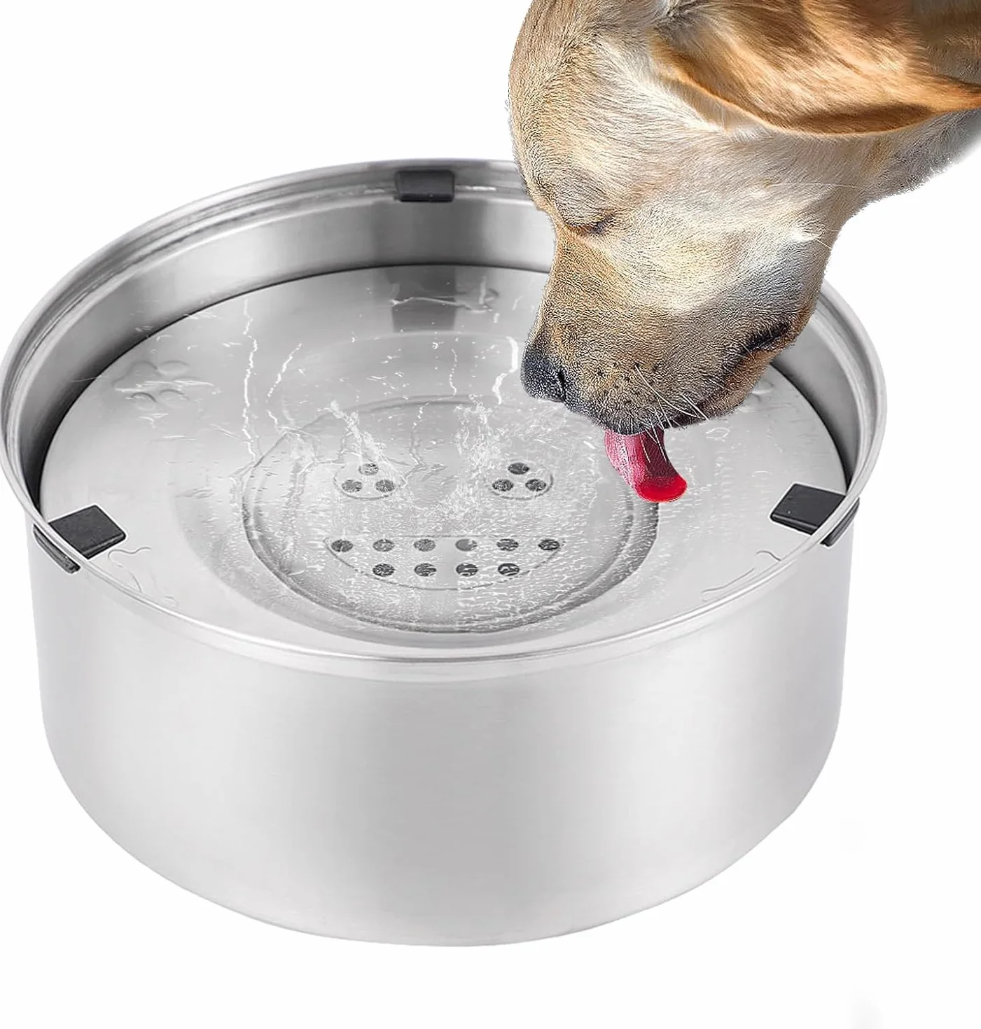 1 L Gamelle Anti Eclaboussure Chien Gamelle Acier Inoxydable Anti Débordement pour Chiens de Taille Moyenne
