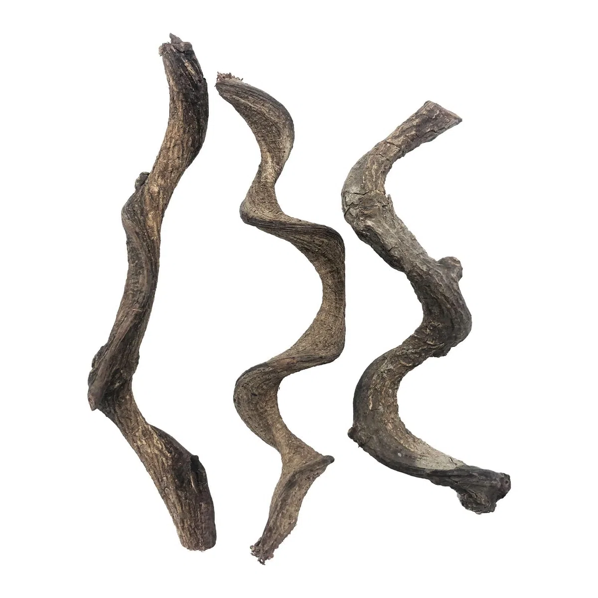 Kathson Lot de 3 branches naturelles de forêt pour terrarium, décoration d'habitat de lézard, branche d'arbre grimpante pour dragon barbu, gecko, serpent, grenouille, caméléon, araignée