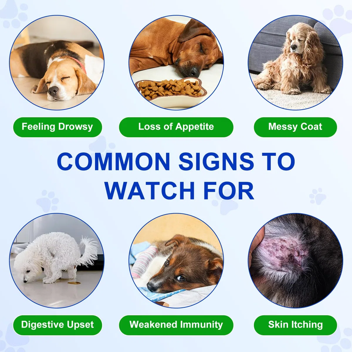 Probiotiques pour Chiens, Digestive Remedies for Dogs, enzymes digestives, santé intestinale, démangeaisons cutanées, Allergies, système immunitaire et Soutien à la santé Globale,150 Chews Duck