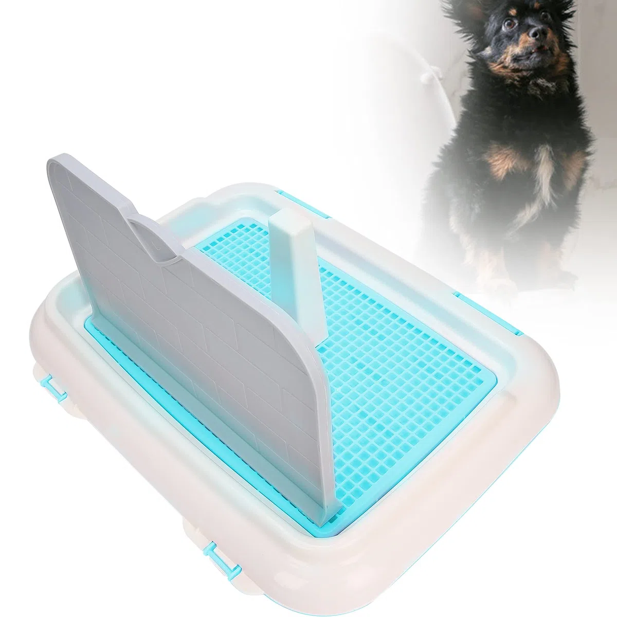 Toilettes pour Chien, Toilettes d'intérieur pour Chat et Chiot avec Mur simulé pour Chiens mâles pour Petits Chiens(Bleu)