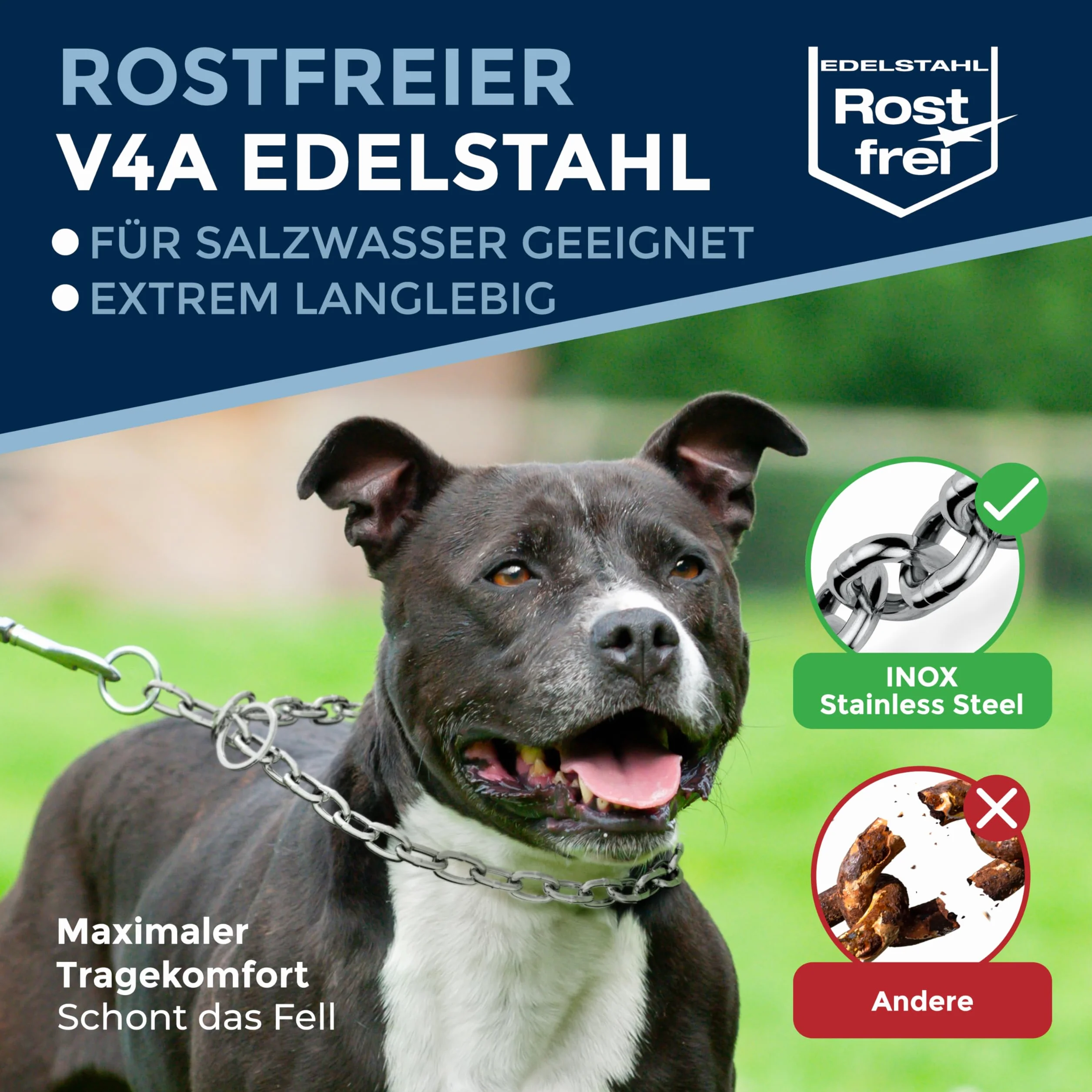 Collier chaîne pour Chien en Acier Inoxydable – Collier combiné avec Mousqueton, Anti-Traction, maillons Longs, 4 mm, 39 cm