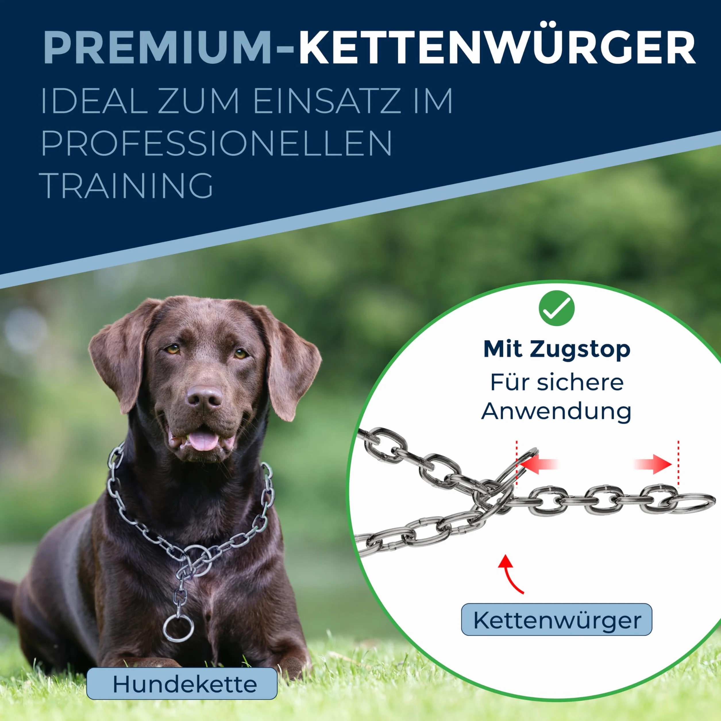 Collier chaîne pour Chien en Acier Inoxydable – Collier combiné avec Mousqueton, Anti-Traction, maillons Longs, 4 mm, 39 cm