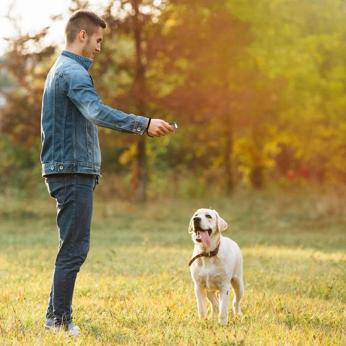 Répulsif pour chiens à ultrasons portable avec mode lampe de poche, arrêt des aboiements, rechargeable, entraînement comportemental de longue durée, facile à utiliser pour les chiens à l