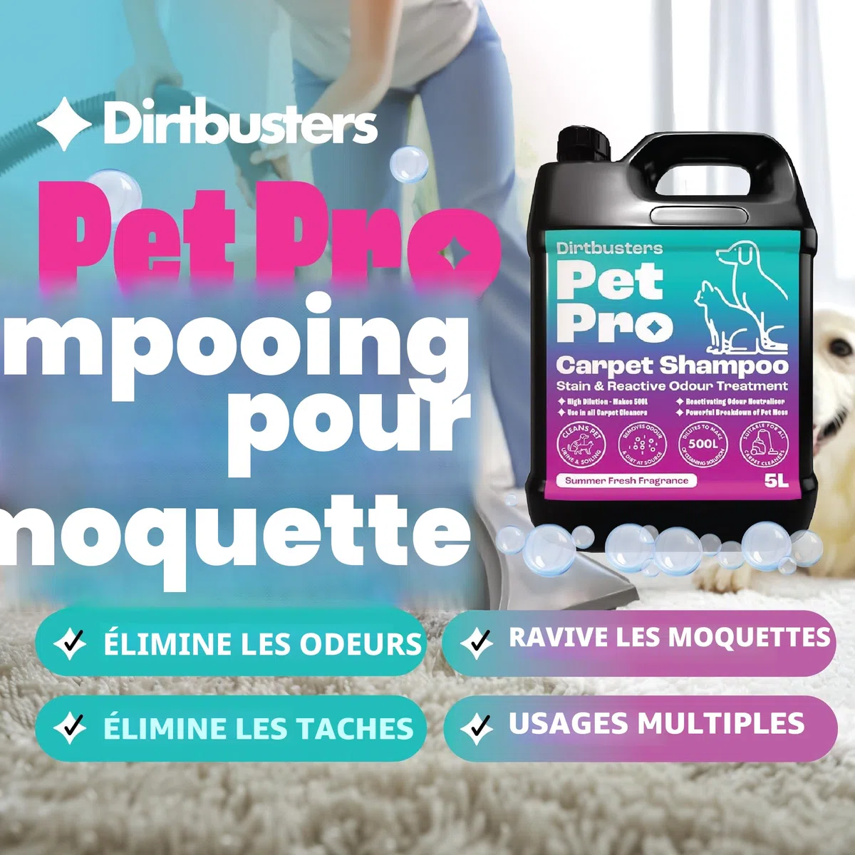 Dirtbusters Pet Pro Solution de shampooing nettoyant en profondeur avec neutraliseur d'odeurs pour enlever l'urine de chien et de chat, solution nettoyante pour tapis et machines à shampooing (5 l)