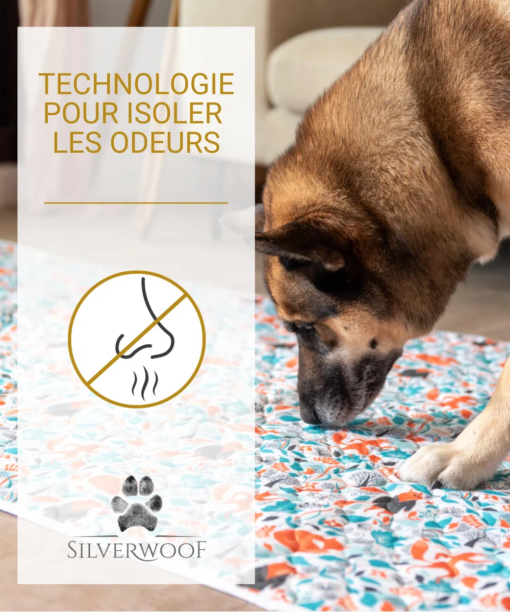 Tapis Absorbant Lavable pour Grands Chiens XXL - 2X Plus absorbants - Tapis de propreté imperméable et réutilisable - Alèse Chiots - Pipi Pad éducateur antidérapant, Anti-odeurs - 90x160cm