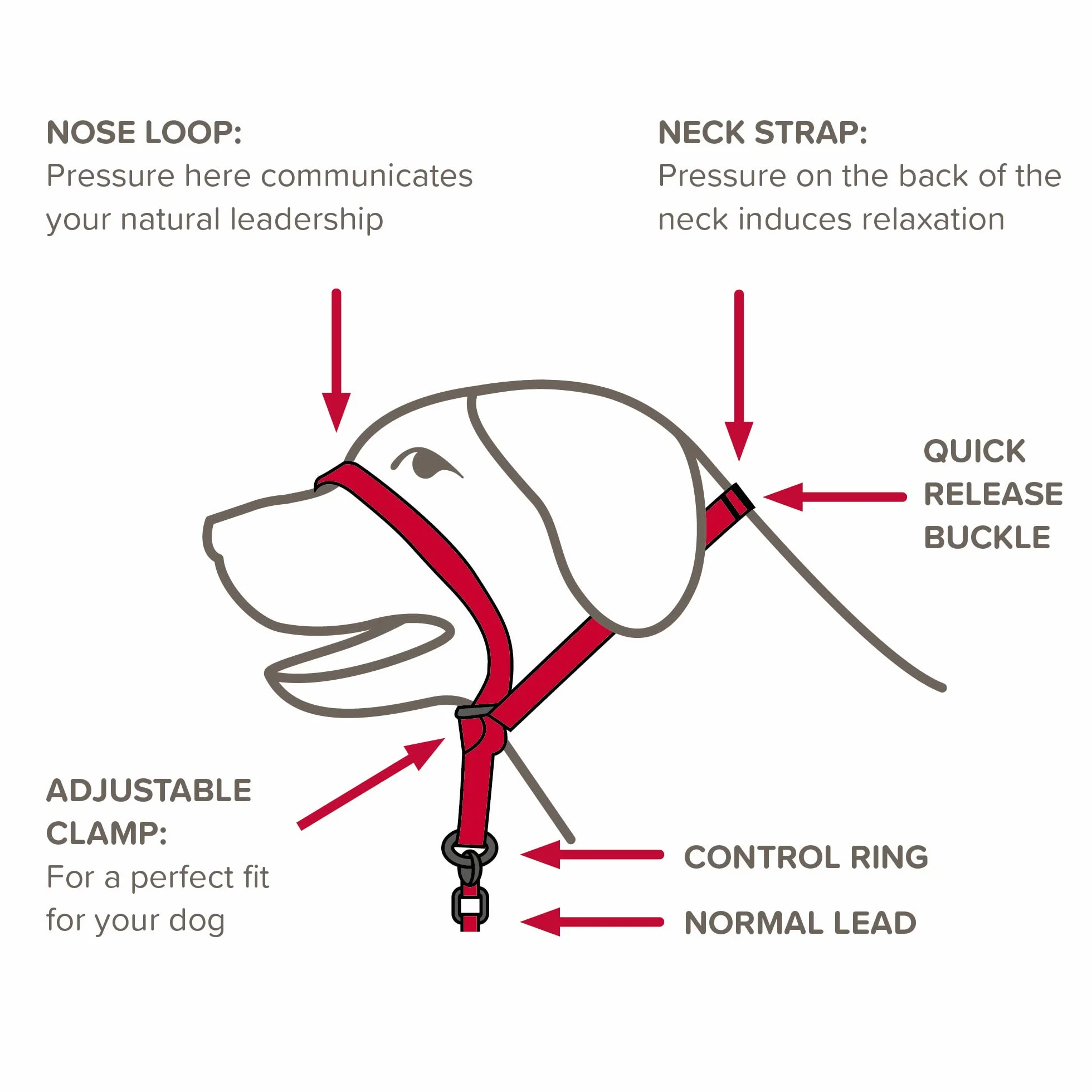 Beaphar Gentle Leader - Collier pour Chien - Taille L - Rouge - Robuste et Durable - Facile à Installer - Pour Toutes les Tailles de Race - Imprimé Animal