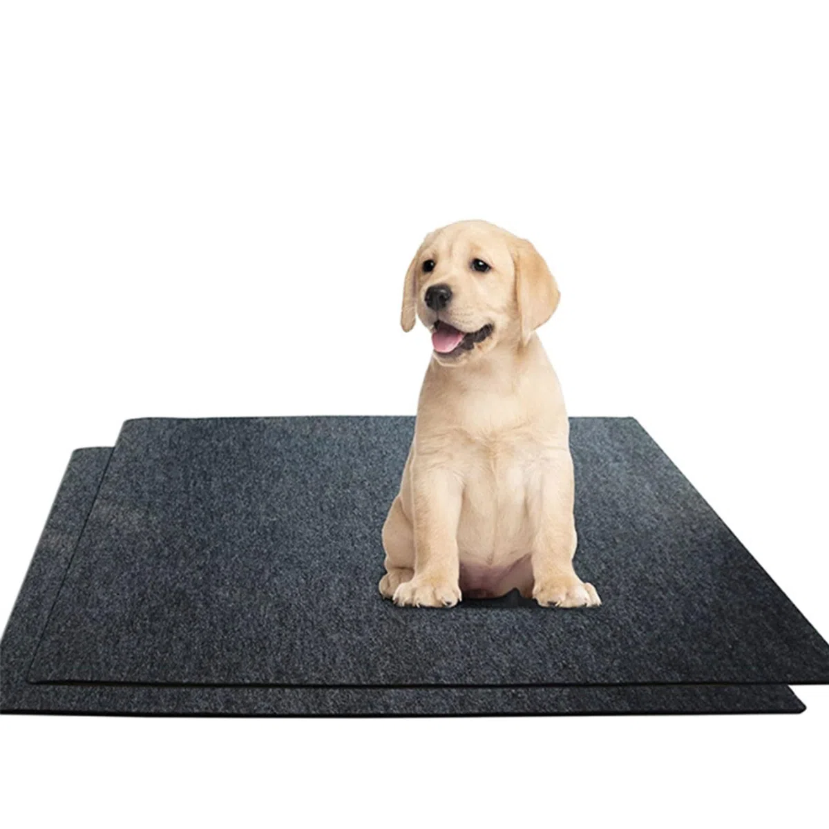 1 tapis de cage pour chien de 70 x 120 cm pour protéger les sols pour l'entraînement, sous le tapis de cage pour animaux de compagnie, plateau pour protéger les sols, tapis de niche,
