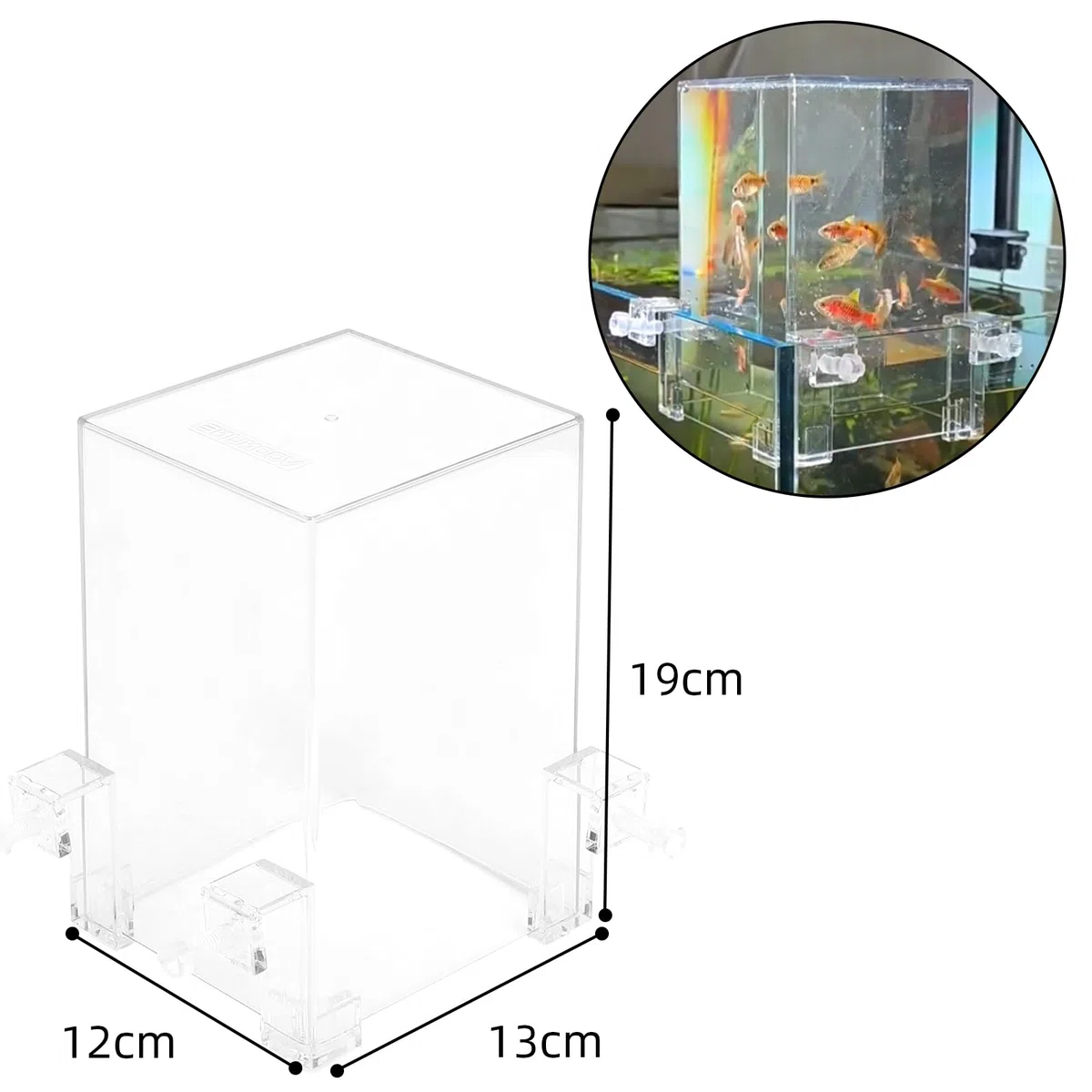 Tour de poisson en acrylique sous vide pour l'aménagement paysager écologique - Avec remplissage d'eau pour la maison, l'hôtel, le restaurant