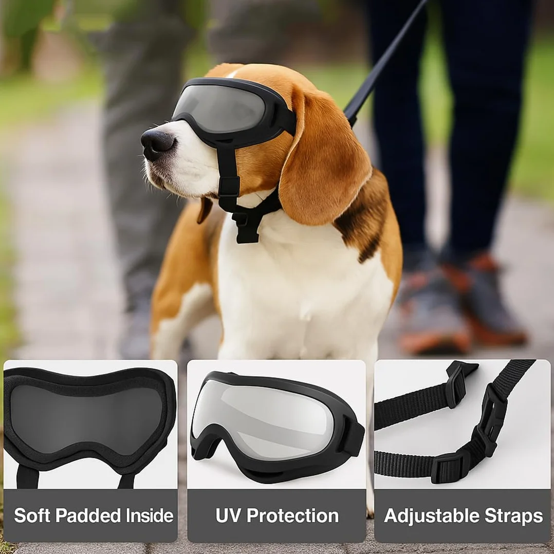Lunette pour Chien, Lunettes de Soleil pour Chiens, Lunette de Protection des Yeux pour Chien, Lunettes Anti-UV pour Chiens, Imperméables, Coupe-Vent