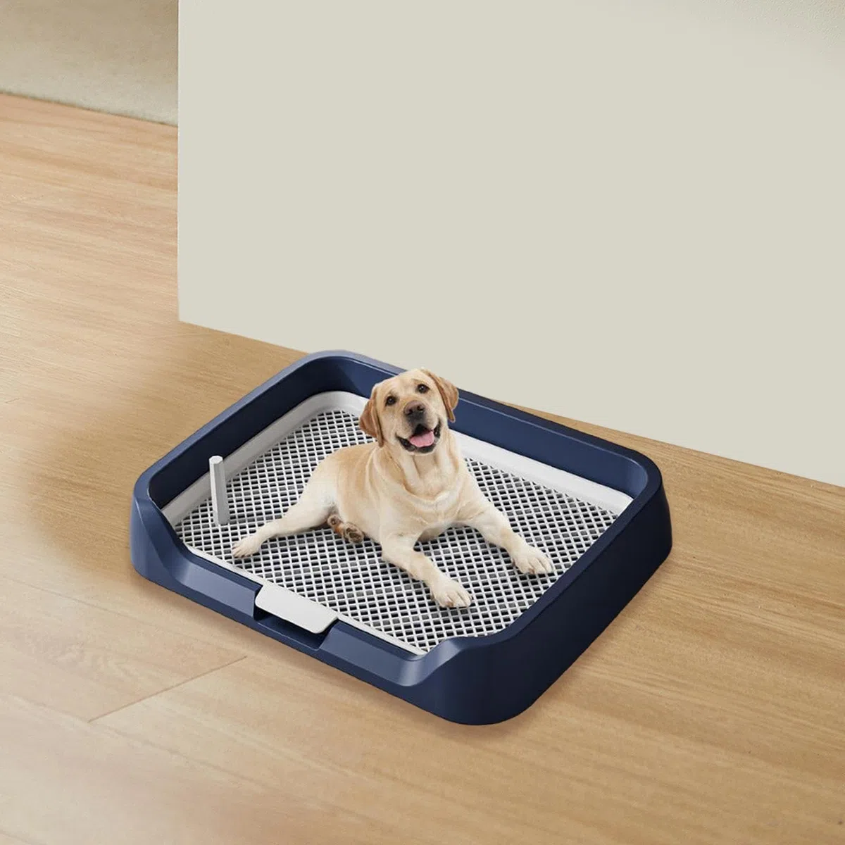 Sharplace Plateau de Pot d'intérieur pour Chien, en Maille, pour entraînement, Toilettes, Support réutilisable pour Pipi, pour Grands Chiots, Petits Chiens et, Bleu