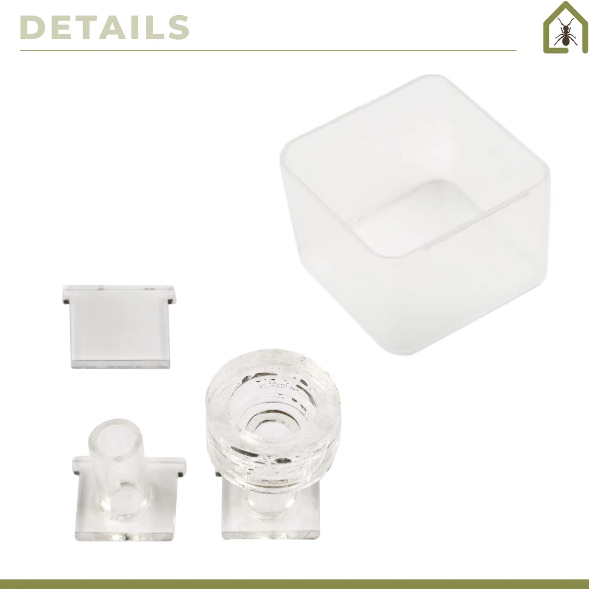 AntHouse - Fourmilière Acrylique 9x5x1,3 cm | Système d'humidification par Champignon | Transparent | Fourmis gratuites incluses