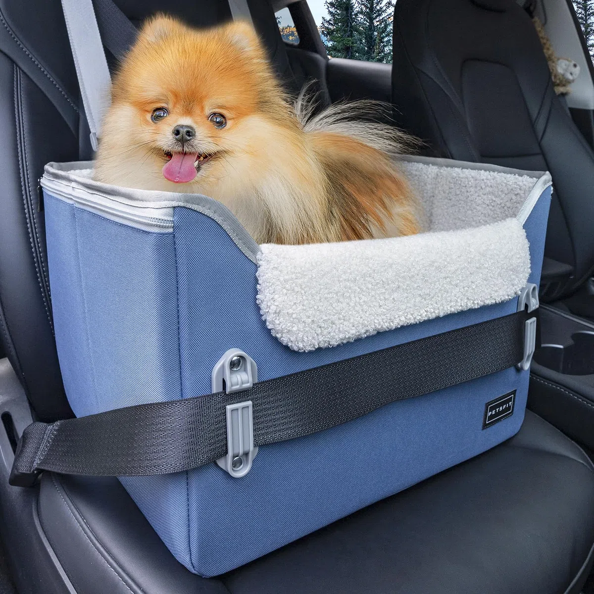 PETSFIT Siège rehausseur de voiture pour chien de taille moyenne avec 2 laisses de sécurité à clipser, boucles brevetées, siège rehausseur pour animaux de compagnie (bleu neuf, taille S)