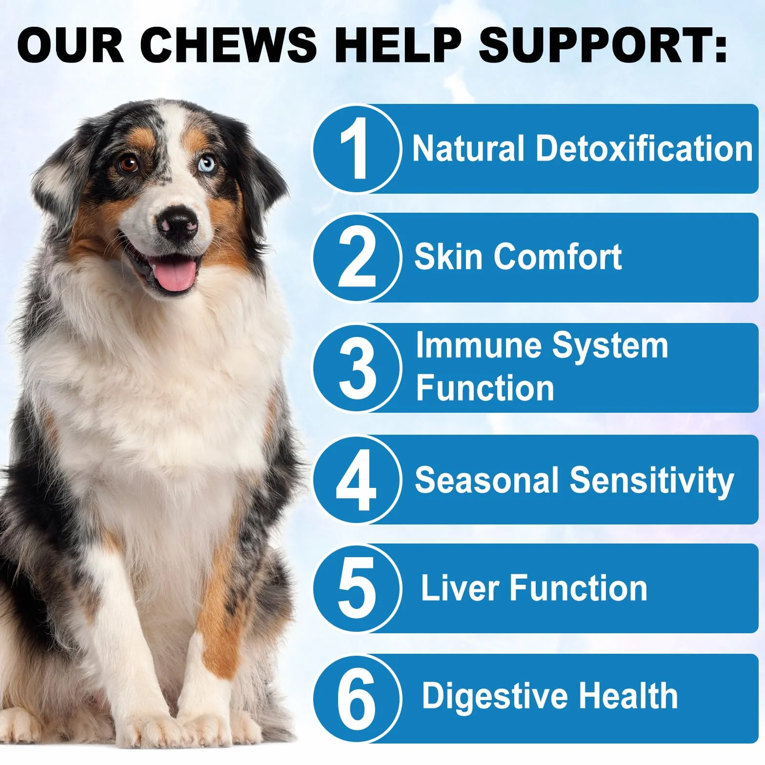 Immunothérapie Anti - Démangeaisons Pour Chiens Anti - Allergie Chien Anti - Allergie Comprimés À Croquer (150 Comprimés) Avec Oméga 3 Anti - Démangeaisons Et Points Chauds Anti - Démangeaisons Lécher