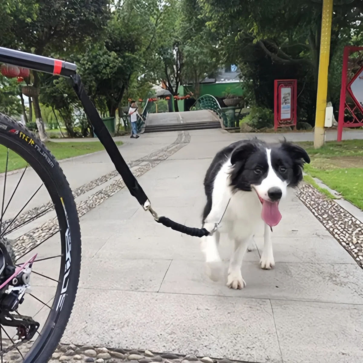 Laisse de vélo pour chien : laisse d'exercice rétractable, mains libres, avec clé hexagonale et joint en caoutchouc, entraînement pour chiens