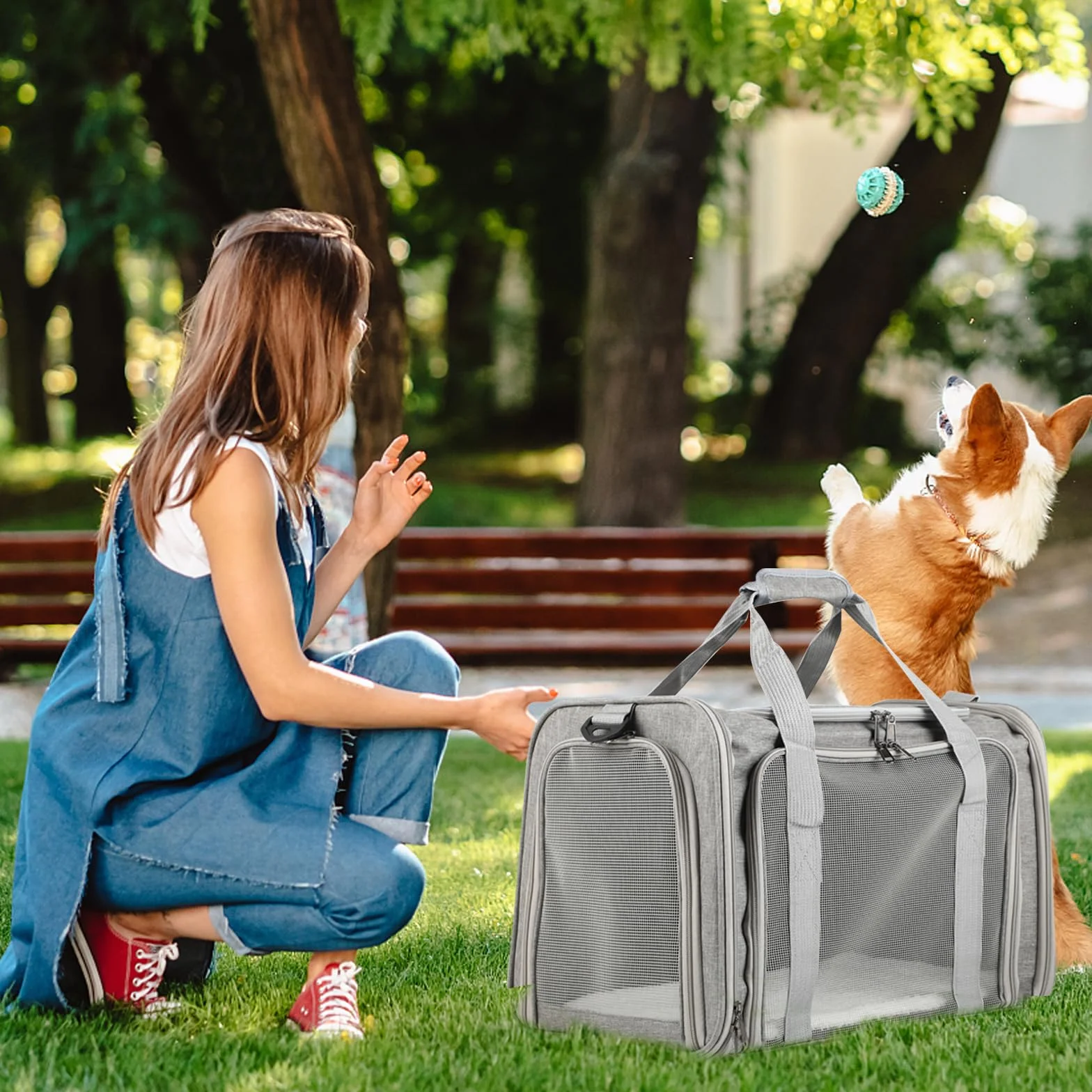 Sac Transport Chat Pliable – Cage Chat Respirante – Caisse de Transport Chat Léger pour Voyages/Voiture (Gris)