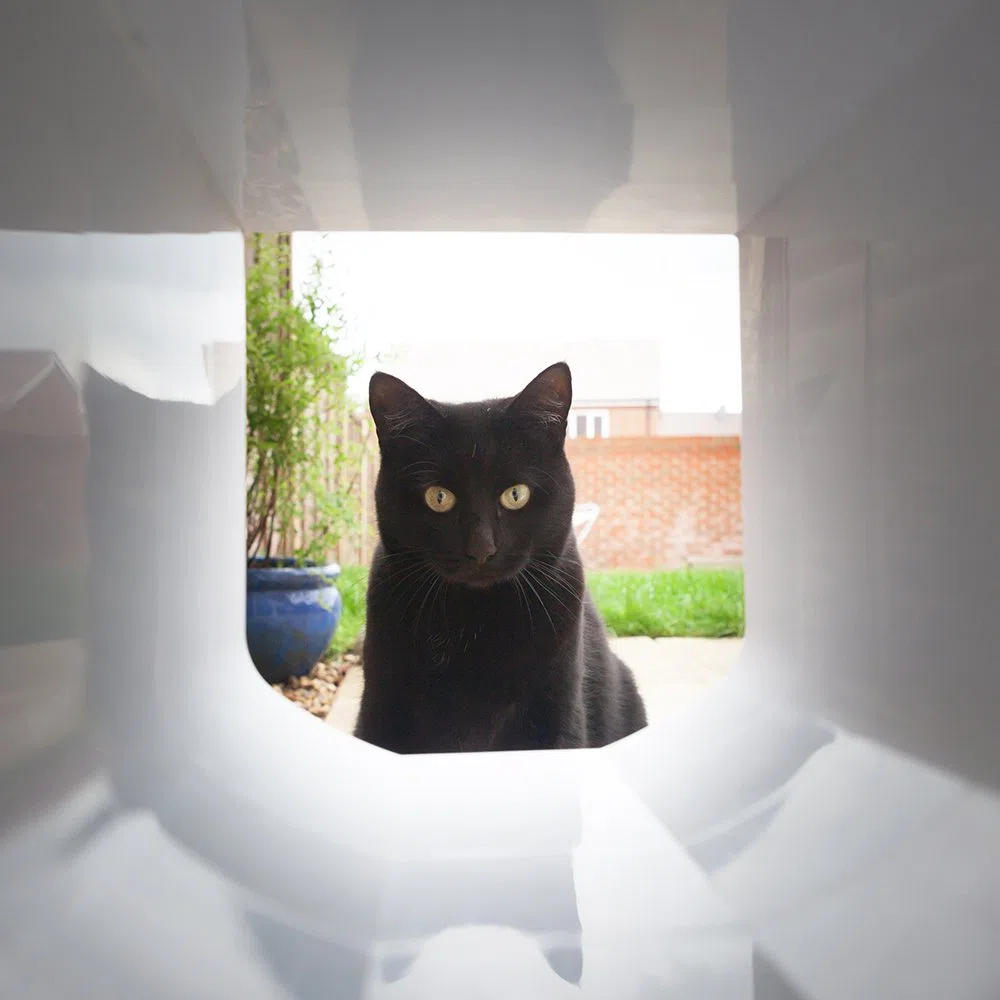 SureFlap Cat Flap - Extension de Tunnel de Chatière pour Chat - Blanc