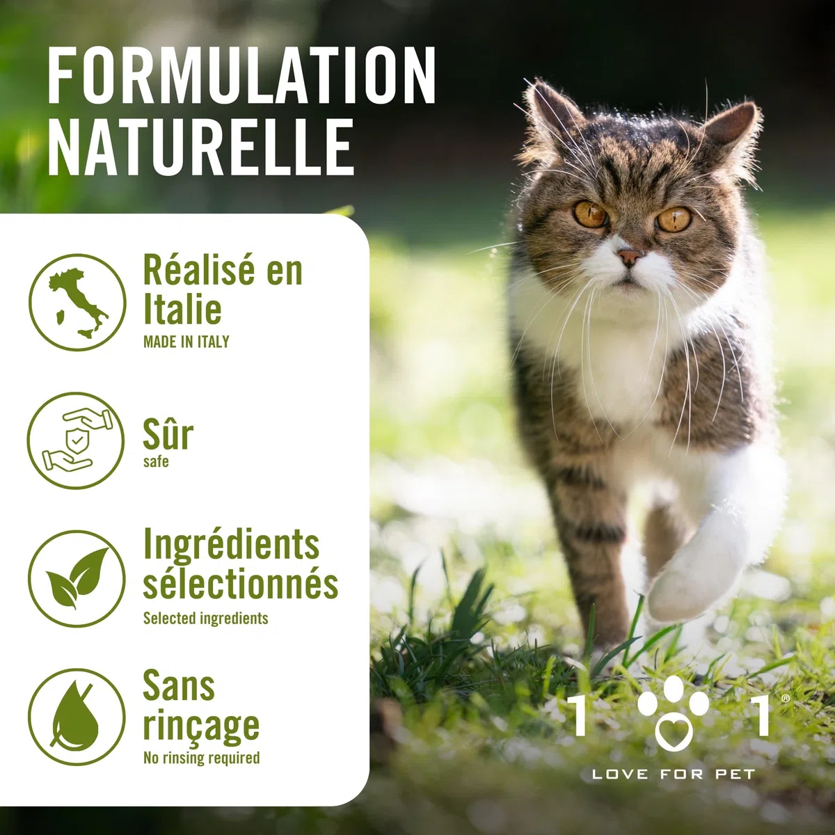 Pipette Chat Anti Puces et Tiques, Moustique 6 Ampoules de 0,5 ML Spot on Chatons et Adultes Traitement Anti Puce Chaton et Antiparasitaire Chat Naturel Application Facile, Longue Tenue Antipuce
