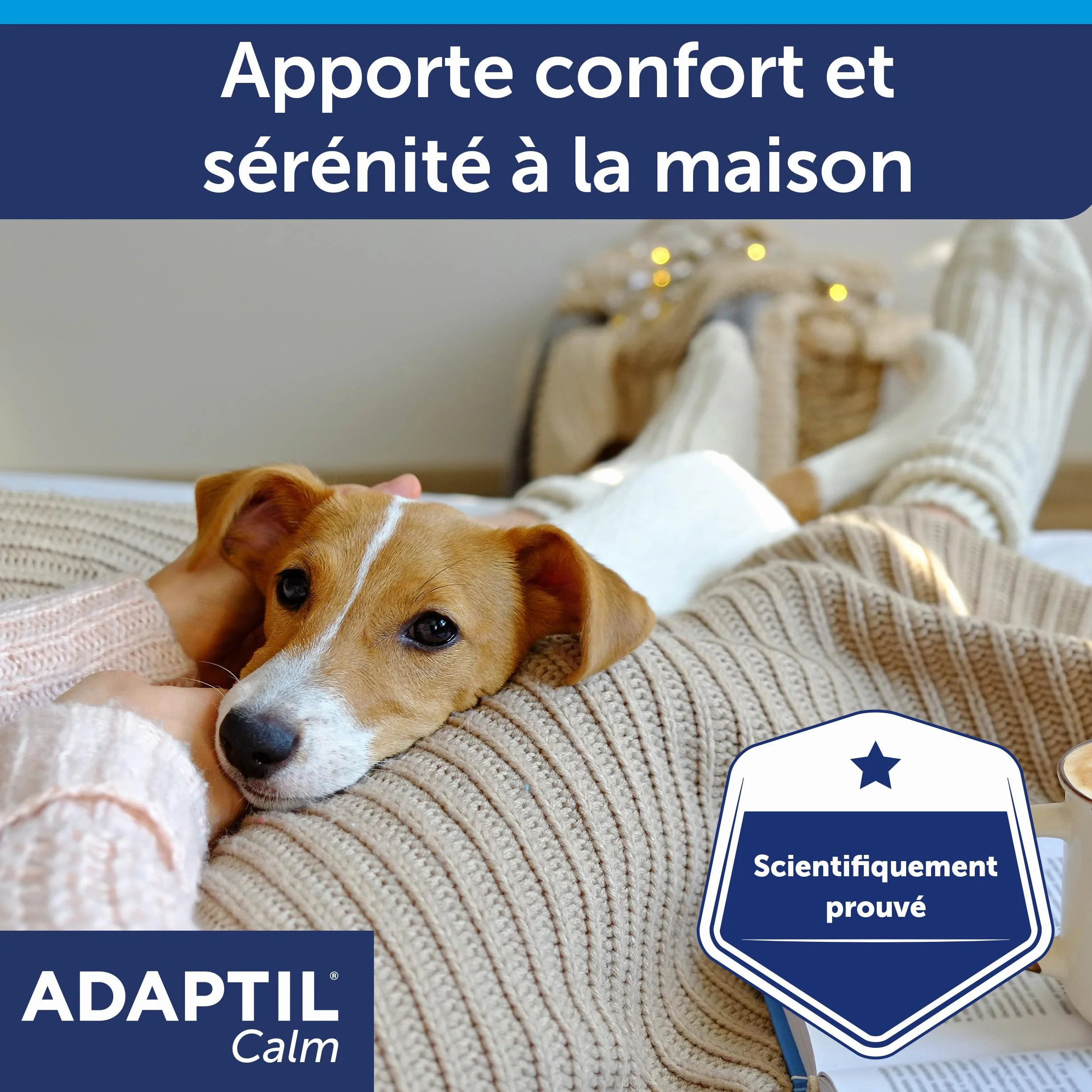 ADAPTIL Calm – Anti-stress pour chien – Diffuseur + Recharge 48 ml