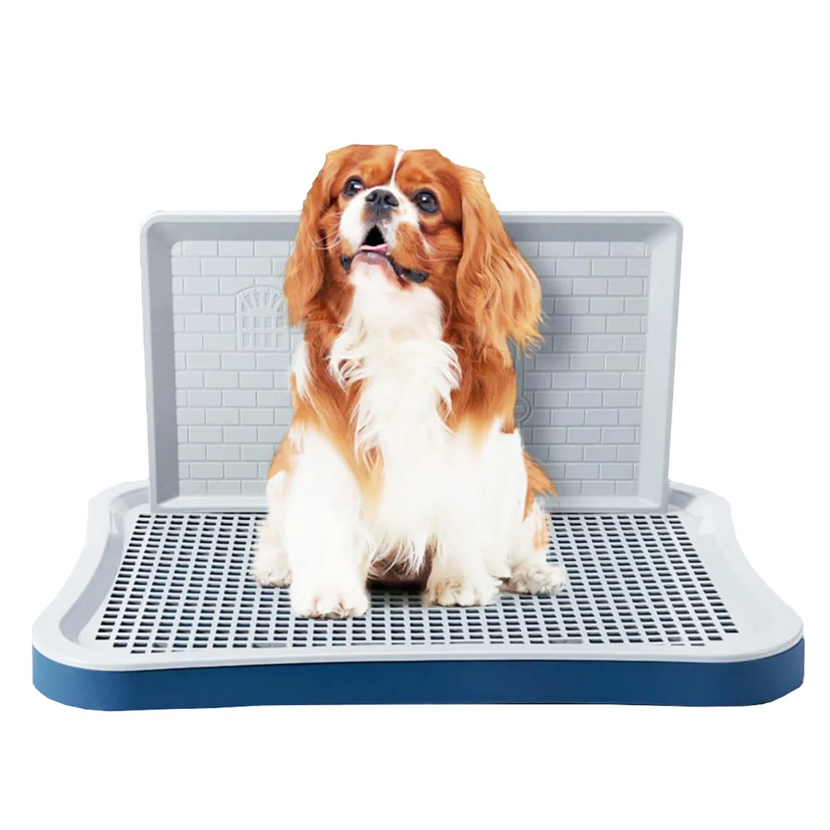Toilettes d'apprentissage de la propreté pour chien, support de tapis pour chiot avec colonne murale, portable, pot d'entraînement en maille pour animaux de compagnie de petite, moyenne taille