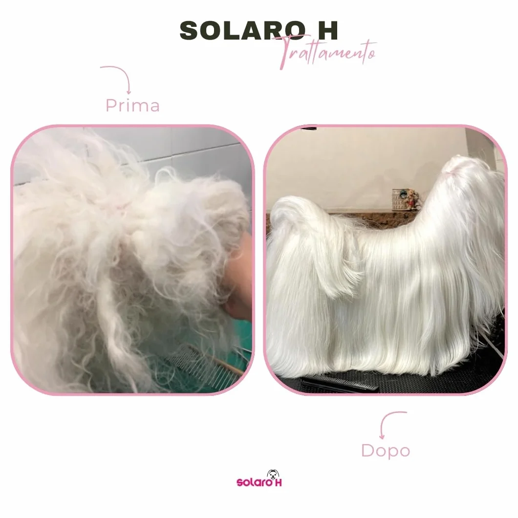 Solaro H | Spray Démêlant pour Chien Super Flash Gold 250ml, Hydrate, Adoucit, Protège Le Poil, Traitement Démêlant, Spray Délier Les Nœuds instantanés - Made in Italy