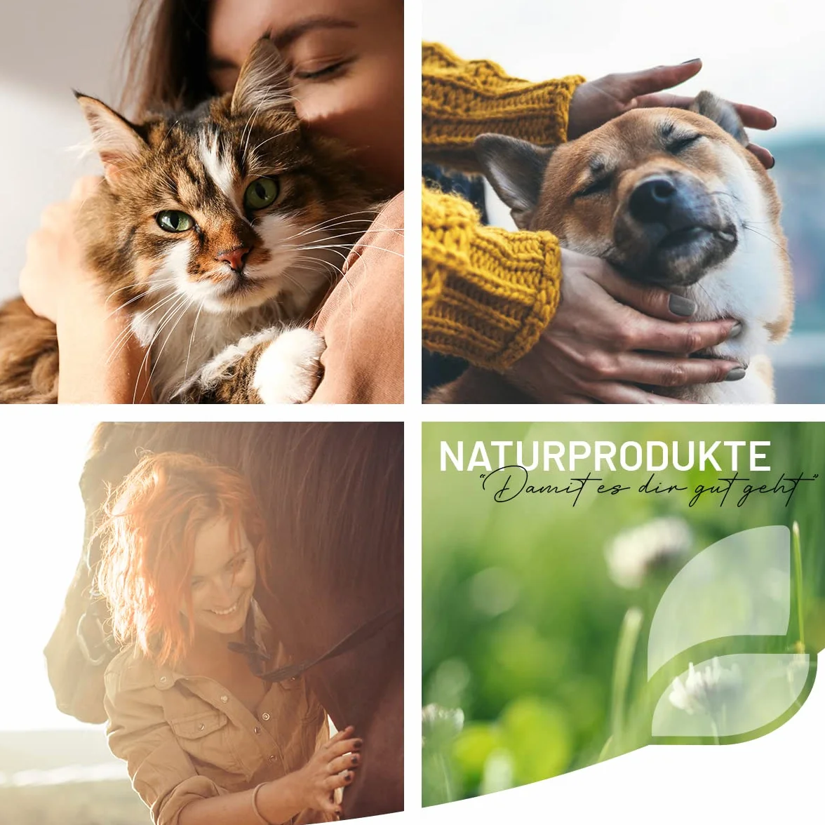 ReaVET lingettes de soin chien, 100 pièces, lingettes humides XXL chien, lingettes de soin chiens, lingettes humides fond de chien, extra larges lingettes nettoyantes hypoallergéniques