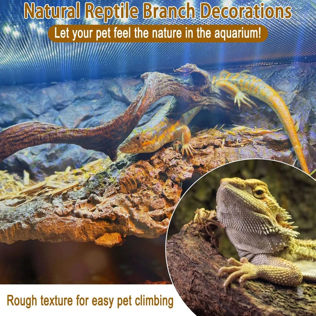 Kathson Lot de 3 branches naturelles de forêt pour terrarium, décoration d'habitat de lézard, branche d'arbre grimpante pour dragon barbu, gecko, serpent, grenouille, caméléon, araignée